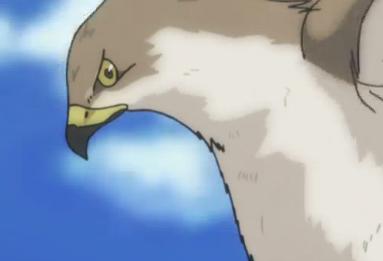 HUNTER×HUNTER 41.jpg
